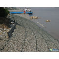 PVC revestido 8X10 Gabion colchão (HPZS4001)